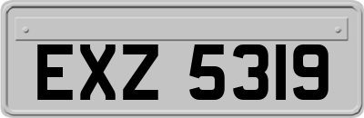 EXZ5319