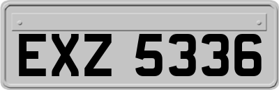 EXZ5336