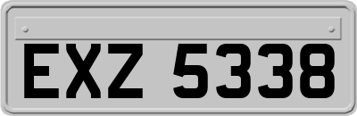 EXZ5338