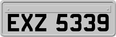 EXZ5339