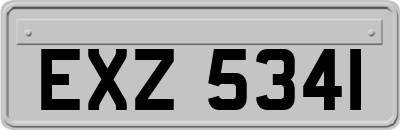 EXZ5341