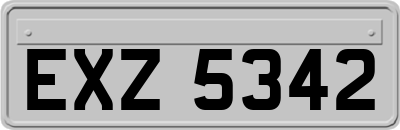 EXZ5342