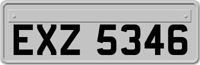 EXZ5346