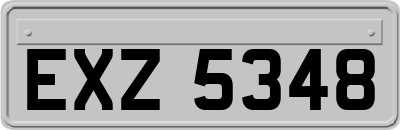 EXZ5348