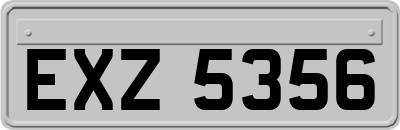 EXZ5356