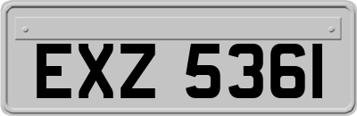 EXZ5361