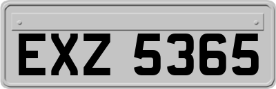 EXZ5365