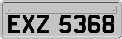EXZ5368