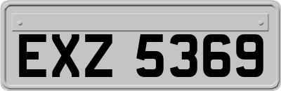 EXZ5369