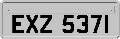 EXZ5371