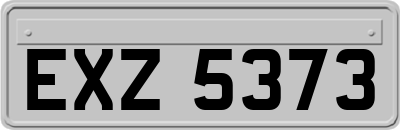 EXZ5373