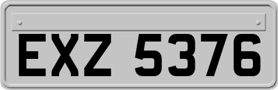EXZ5376