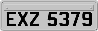 EXZ5379