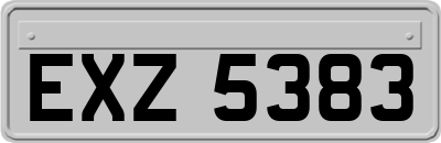 EXZ5383
