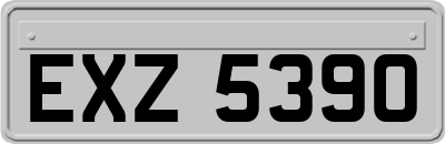 EXZ5390