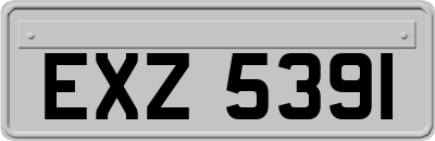 EXZ5391