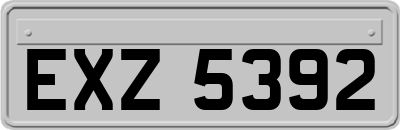 EXZ5392