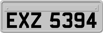 EXZ5394