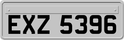 EXZ5396