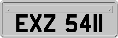 EXZ5411