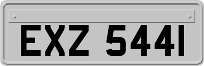 EXZ5441
