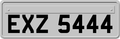 EXZ5444