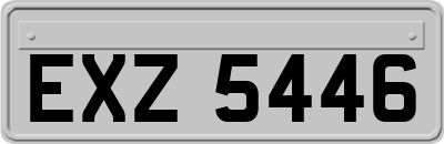 EXZ5446