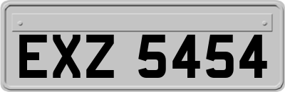 EXZ5454
