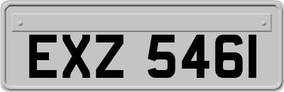 EXZ5461