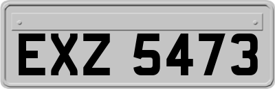 EXZ5473