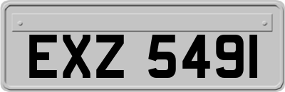EXZ5491