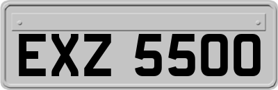 EXZ5500