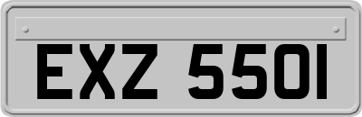 EXZ5501