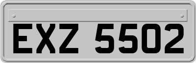 EXZ5502