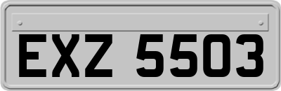 EXZ5503