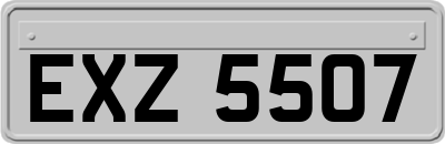 EXZ5507