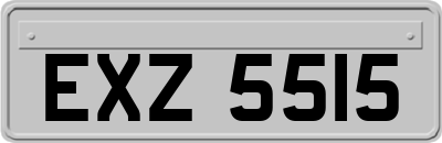 EXZ5515