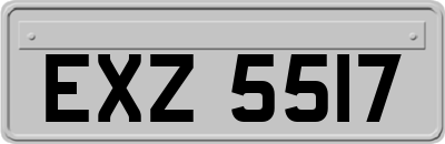 EXZ5517