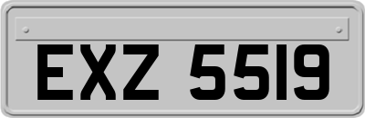 EXZ5519