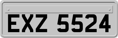 EXZ5524