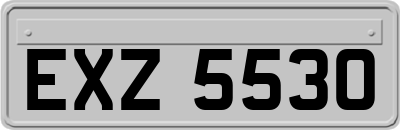 EXZ5530