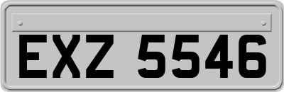 EXZ5546