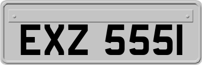 EXZ5551