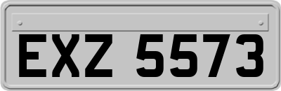 EXZ5573