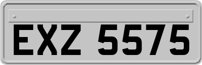 EXZ5575