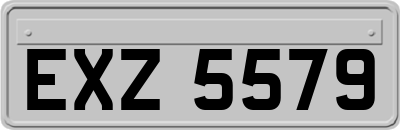 EXZ5579