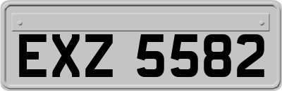 EXZ5582