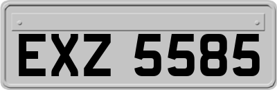 EXZ5585