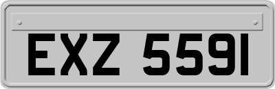 EXZ5591
