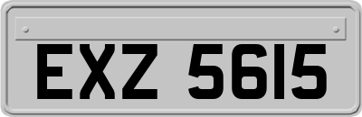 EXZ5615